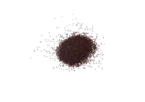 Scattered Brown Mustard Seeds with a Pile of Mustard Seeds &ndash; Natural Organic Spice Composition, Rustic Culinary Transparent Background for Cooking, Packaging, and Creative Food Presentation.