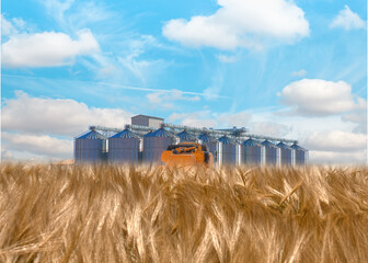 Combine harvester harvesting wheat field - Agricultural Silos for storage and drying of grains, wheat, corn, soy, sunflower © muratart