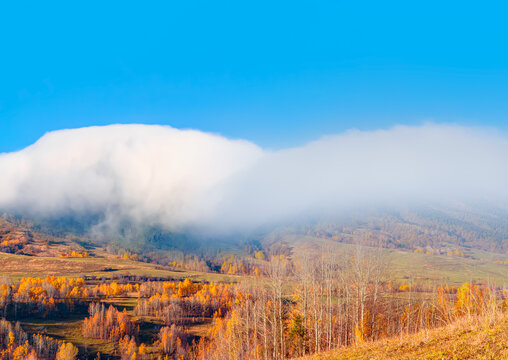 Panoramic view of Savsat highlands on a beautiful autumn day  -  Autumn colorful landscape with colorful tree with snowy mountains - Savsat, Artvin