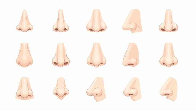 Collection of realistic human noses in various angles and shades