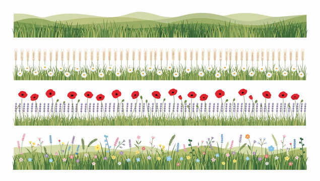 A stunning illustrated collection of vibrant spring meadow and garden borders
