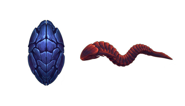 Fantasy Creature Egg and Segmented Alien Worm