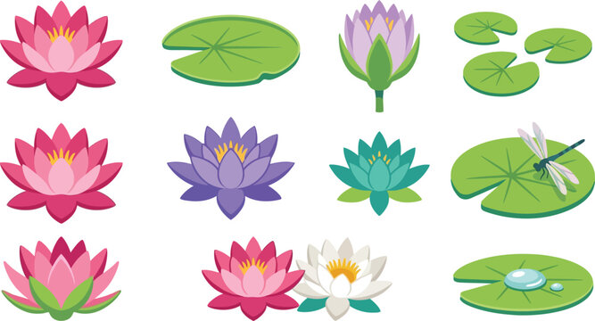 Colorful water lily and dragonfly pond elements