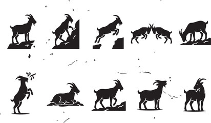 Fototapeta premium Black and white of various animals in motion wildlife