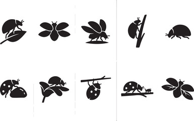 Black and white of various butterflies and moths butterfly © SH STORE