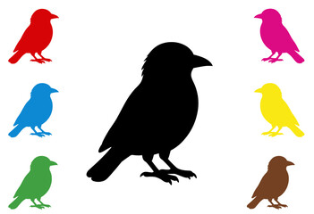 Fototapeta premium Black Bird Silhouette Surrounded by Colorful Birds Illustration