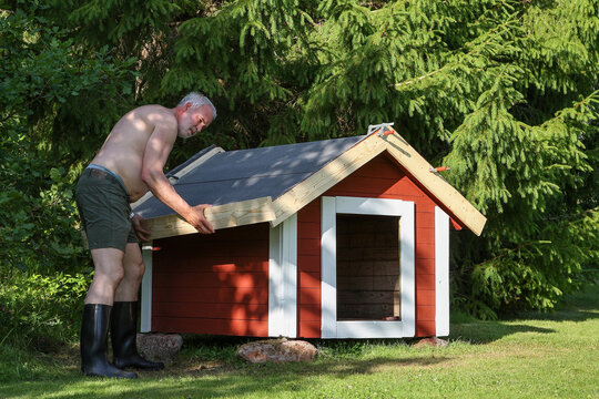 An older man does DIY carpentry in a garden in Sweden during summer, placing the wooden roof onto a red scandinavian style dog house.