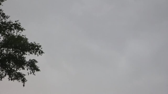 A spark discharge between a cloud and the ground.
This natural phenomenon is also called lightning. It occurs when a cloud becomes electrified.
