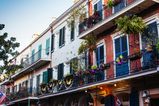 New Orleans Flowers for Mardi Gras USA