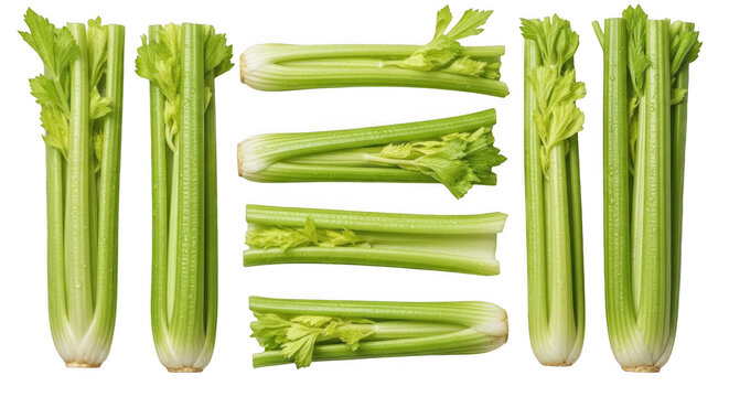 Fresh green celery stalks arranged in vertical and horizontal positions isolated on a solid black background, view food