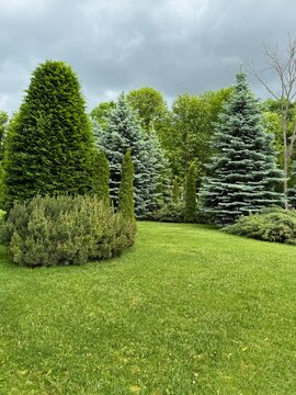 path in garden