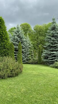 green grass and trees