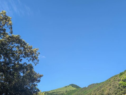 Cielo azzurro e limpido domina la scena, incorniciato da una collina verdeggiante alla base e dalle fronde di un albero rigoglioso in primo piano.