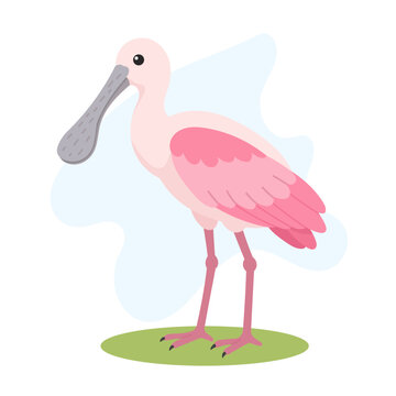 Roseate spoonbill standing gracefully, Roseate spoonbill displaying soft pink plumage, Platalea ajaja vector wildlife bird illustration.