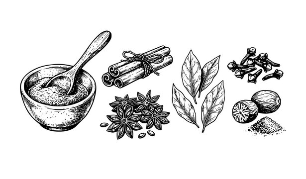 Hand Drawn Spices and Seasonings Vector Set with Cinnamon Nutmeg Star Anise and Clove Illustration