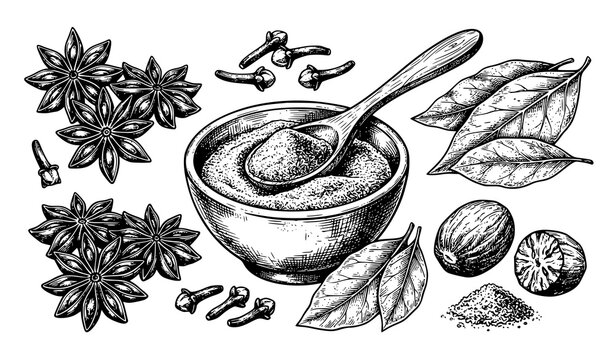 Spices and Seasonings Hand Drawn Vector Illustration Set with Cinnamon Nutmeg Clove and Star Anise