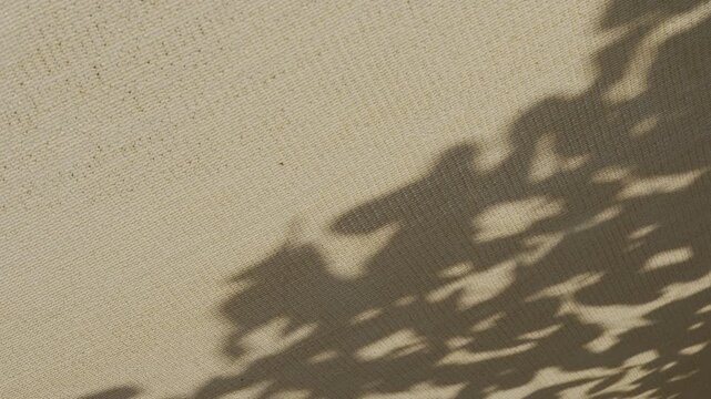 Tranquil tree leaf shadow on warm sunshade net roof in summer daylight