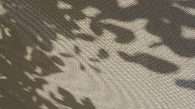 Peaceful tree foliage shadow on waving sunshade net backdrop during summer