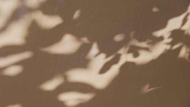 Cozy leaf shadow on waving beige fabric background in afternoon sunlight