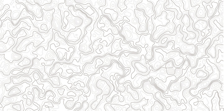 Gray abstract topographic map lines on white background texture pattern