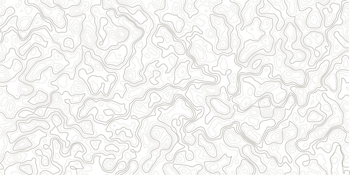 Gray topographic contour lines pattern on white background for design