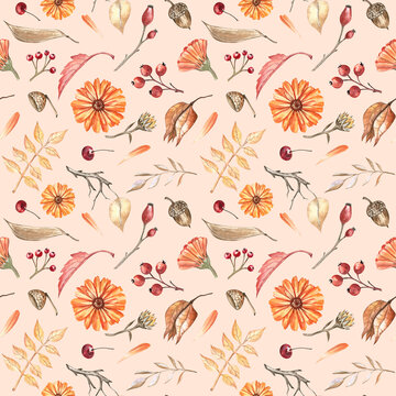 Autumn floral pattern with calendula flowers, acorns, Chinese lantern lilies, berries, leaves, and twigs. Watercolor hand-drawn elements; elegant and cozy design on orange background for home textile