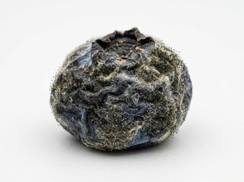 Rough textured mineral stone specimen closeup.