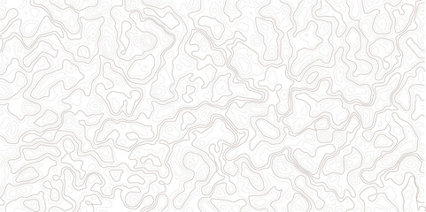 Fototapeta premium Gray topographic map lines on white background texture pattern
