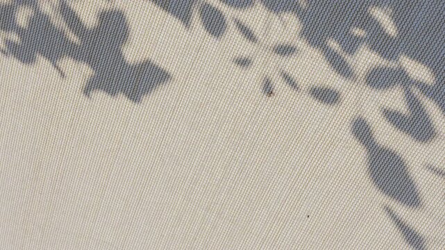 Serene tree foliage shadow on light sunshade net background in summer