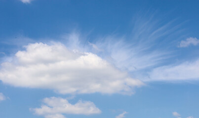 Obraz premium ​A bright blue sky with fluffy white clouds on a fine summer day. Light cirrus streaks picturesquely fan out from a large cumulus cloud, creating a dynamic natural pattern.