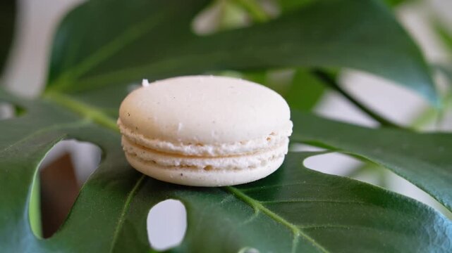Pushing camera forward, focusing beige macaron on monstera leaf on tabletop to highlight texture