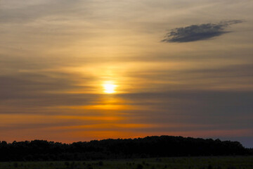 Obraz premium A picturesque sunset over the dark silhouette of a forest and a spacious field. Golden and orange rays pierce through layers of clouds, creating a warm atmosphere of evening twilight. 