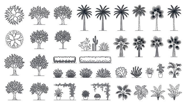 Landscape Plant Elevation CAD Block Set with Trees, Palms, Shrubs and Tropical Vegetation for Architectural Drawings
