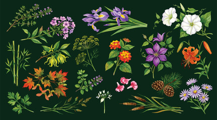 Obraz premium Floral set of delicate branches with flowers, isolated collection watercolor decorative design elements for invitation or greeting cards, wedding floral design, for wallpapers or patterns.