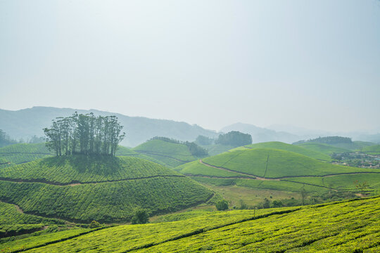 A breathtaking panoramic view of Munnar's unique topography, characterized by an endlessly rolling terrain of deep green valleys.