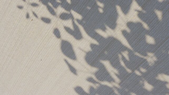 Elegant tree leaf shadow on moving sunshade mesh under summer sun