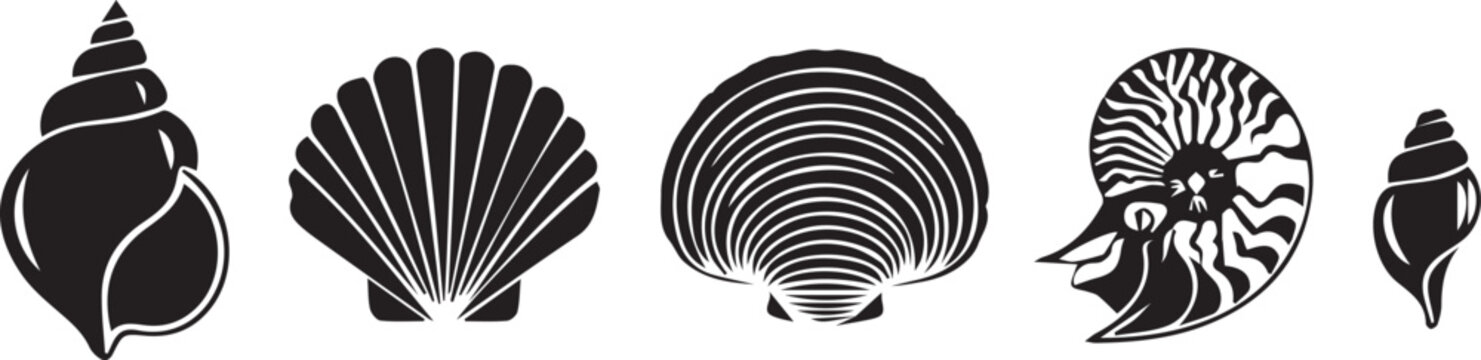 Seashell silhouette icon set, conch scallop vector, clam nautilus design, spiral shell artwork, marine ocean graphic, coastal beach emblem