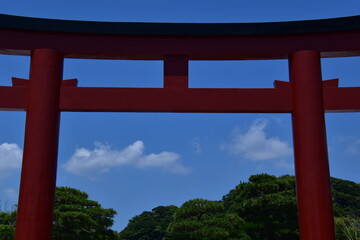 Fototapeta premium 神奈川県 鎌倉の鶴岡八幡宮