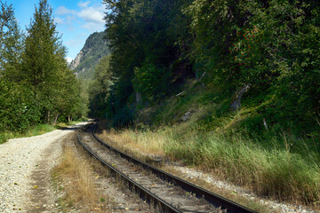 Obraz premium curved railway track cuts through the dense green forest and mountain wilderness