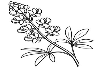 Fototapeta premium coloring page line art the thrift flower black vector
