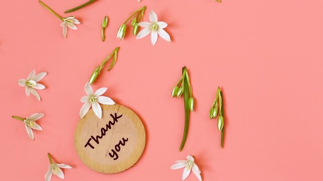 White spring blossoms and wooden tag on coral background
