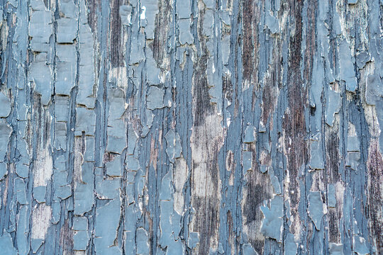 Close up view of weathered wood wall with old peeling blue-gray paint.