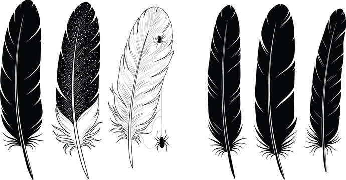 Set of six stylized feather vector illustrations with detailed textures and creative designs for artistic and branding projects