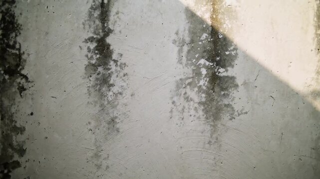 Sunlight shifting, stucco wall outside showing bright corner and damp streaks with specks and rings
