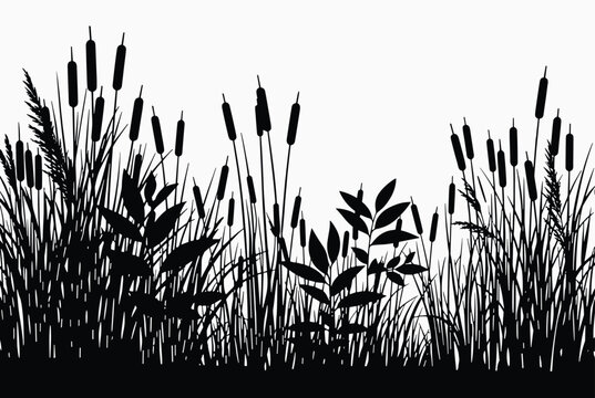 Black silhouette of tall grass and cattail reeds growing in a marshy wetland area against a plain background.