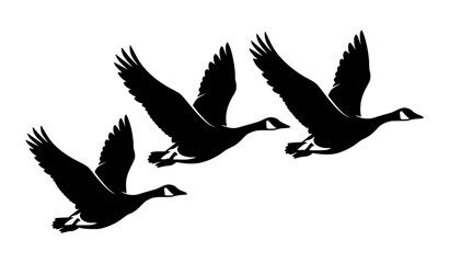 Three Flying Geese Silhouettes Vector Set Black White Nature Clipart © Shameem