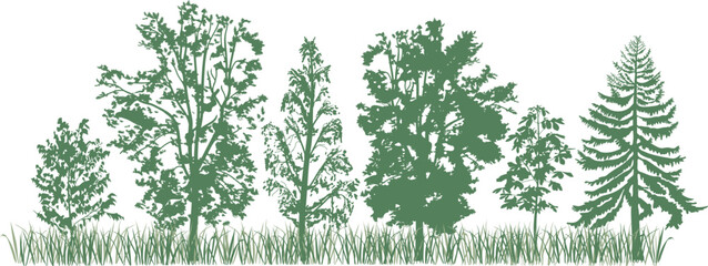 Forest treeline panorama vector illustration. Green mixed trees silhouette row with grass border, hand drawn style © Kazakova Maryia