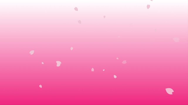 ピンクグラデーションの桜アニメーション素材　4K　ループ可能