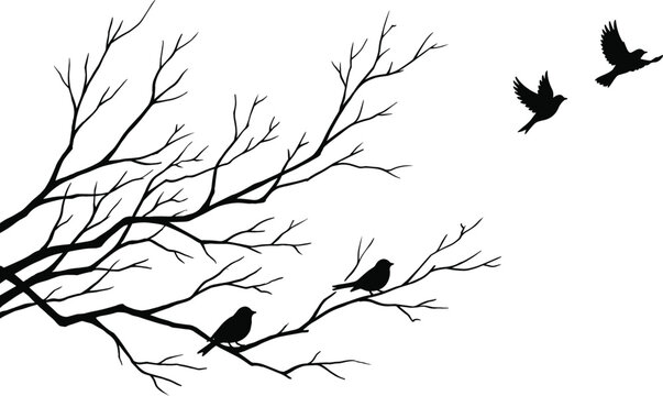 Vector set of black bird silhouettes flying and perched on bare tree branches, isolated on a white background, perfect for minimalist nature wall art, laser cutting, engraving, 