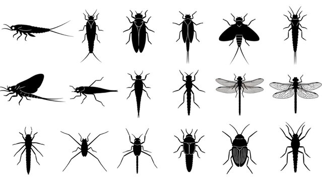 Aquatic Insects Larvae and Adults Silhouette Vector Icon Sheet, Minimalist Black Water Bug Graphic Elements Isolated on White
